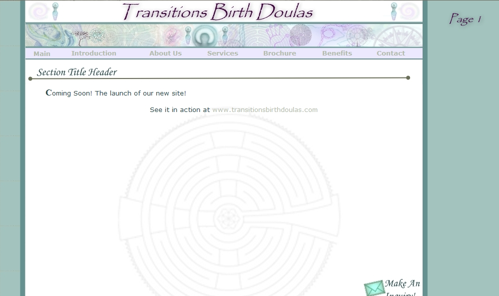Transitions Birth Doulas