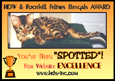 HDW's You've Been Spotted Award