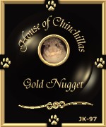 The House of Chinchillas Gold Nugget